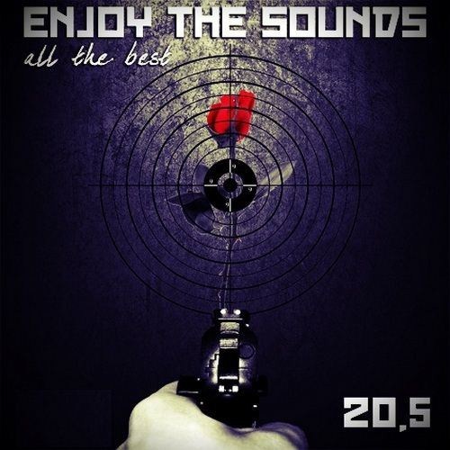 VA - Enjoy The Sounds 20.5 [CD1] (2013)